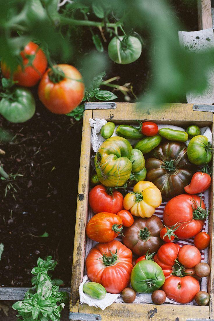 Garden's Bounty Medley: Fresh Veggie Mélange